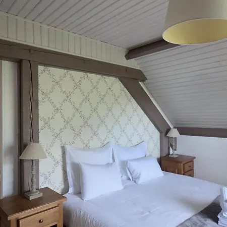 Logis Des Aulnettes Hotel 2*